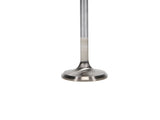 Manley Ford 4.6L 34mm Diameter 117.35mm Length Race Master Exhaust Valves (Set of 8) - 11630-8