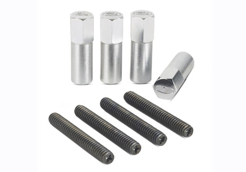 Ford Racing Valve Cover Hold Down Mini-Nuts - Chrome - 302-315