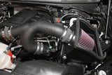 K&N 2015 Ford F150 EcoBoost V6-3.5L 57 Series FIPK Performance Intake Kit - 57-2592