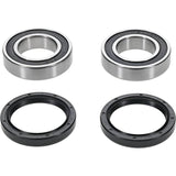 Pivot Works  E-TON IXL-40 Rascal Rear Wheel Bearing Kit - PWRWK-Y77-000