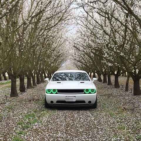 Oracle Dodge Challenger 08-14 Halo Kit (ProjectorHL) - ColorSHIFT w/ Simple Controller - 2238-504