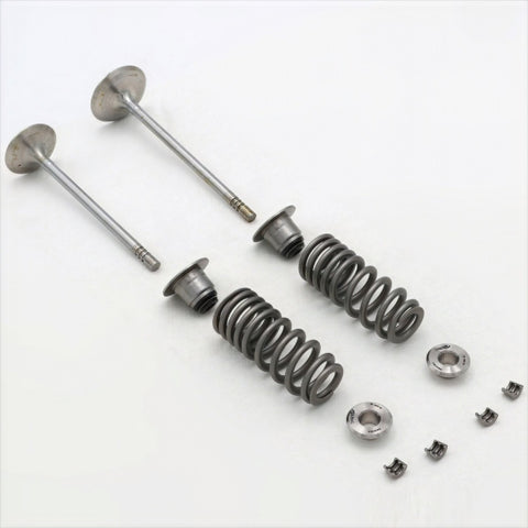 Ford Racing 5.2L Cylinder Head Valve Train Kit - M-6505-FP350S