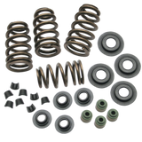S&S Cycle 04-19 XL Valve Spring Kit - .650in - 106-5909