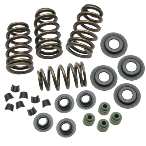 S&S Cycle 04-19 XL Valve Spring Kit - .650in - 106-5909