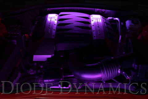 Diode Dynamics RGBW Engine Bay Strip Kit 2pc Multicolor - DD0440