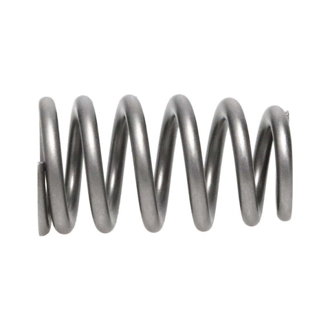 Manley Chrysler Hemi 6.4L NexTek Series High Performance Valve Springs .650 Max Lift - 221439-16