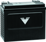 Twin Power YTX-14 Shocker Battery Replaces H-D 65948-00 220 CCA - 781151