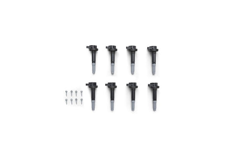 Ford Racing Boss 5.0L Block Plug & Dowel Kit - M-6026-BOSS50