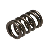 Manley Nissan (RB26DET) 24pc Valve Springs - 22175-24