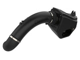 aFe Quantum Cold Air Intake System w/ Pro Dry S Media 15-19 Ford F-150 V8-5.0L - 53-10010D