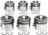 Mahle OE Cummins B 5.9L L6 .020 w/ PC Eng Set Piston Set (Set of 6) - 2243523020