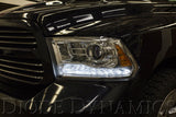 Diode Dynamics Ram SB LED Boards 13-16 Dodge Ram - DD2015
