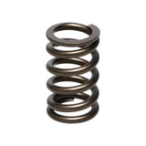 Manley Nissan (RB26DET) 24pc Valve Springs - 22175-24
