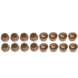 Ford Racing Hardened Steel Lifter Cup M-6500-R302H - M-6500-R302HLC