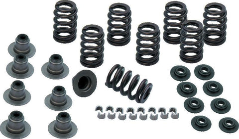S&S Cycle 2017+ M8 Models Valve Spring Kit - .605in - 900-0958
