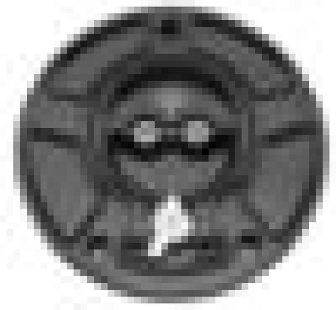 Vortex Racing V3 Fuel Cap Kawasaki- Black - GC420K