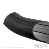 Westin 19-20 Chevrolet/GMC Silverado/Sierra 1500 Double Cab PRO TRAXX 4 Oval Nerf Step Bars - Black - 21-24125