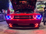 Oracle Dodge Challenger 08-14 LED Waterproof Fog Halo Kit - Red - 1253-003