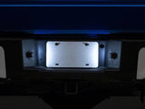 Raxiom 04-14 Ford F-150 LED License Plate Lighting- White - T596990
