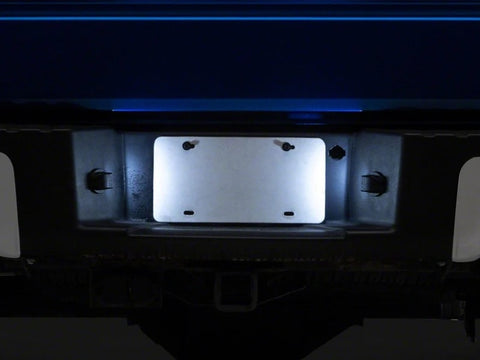 Raxiom 04-14 Ford F-150 LED License Plate Lighting- White - T596990