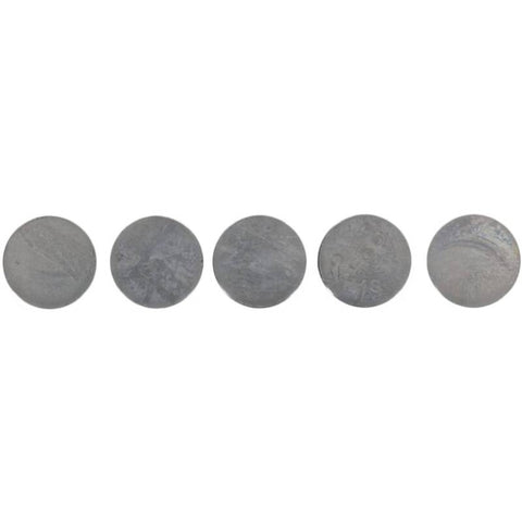 Hot Cams 04-08 400 DVX/02-16 CRF 450 R 1.600mm Shim Kit - 5 Pack - 5PK948160