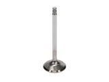 Manley Toyota 1FZFE 34mm Race Master Exhaust Valves (Set of 12) - 11175-12