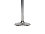 Manley 99-10 Dodge Viper 2.020in Diameter 5.728in Length Race Master Exhaust Valve (Single) - 11644-1