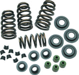 S&S Cycle 04-19 XL Valve Spring Kit - .650in - 106-5909