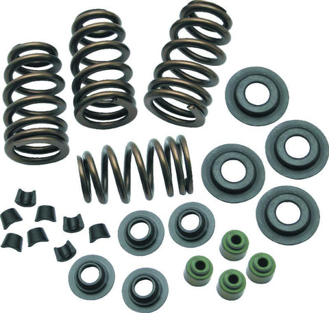 S&S Cycle 04-19 XL Valve Spring Kit - .650in - 106-5909