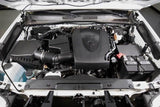 K&N 16-23 Toyota Tacoma 3.5L Oil Catch Can - 81-0813
