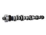 Ford Racing Small Block V-8 Hydraulic Roller Tappet Camshafts - M-6250-F303