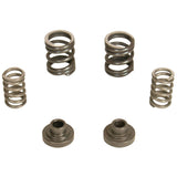 BD Diesel Governor Spring Kit 3000rpm - 1994-1998 Dodge 12-valve/P7100 Pump - 1040187