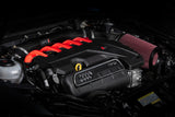 APR 17-20 Audi RS3/18-22 Audi TT RS Quattro (MK3) 2.5T TFSI Carbon Fiber Intake Filter System - CI100038-A