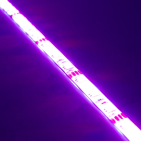 Oracle Engine Bay LED Kit 48in - UV/Purple - 4217-007
