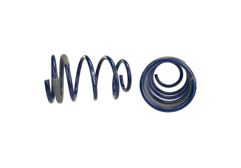Ford Racing 2005-2014 Mustang GT 1.0in. Track Lowering Springs - M-5300-PA