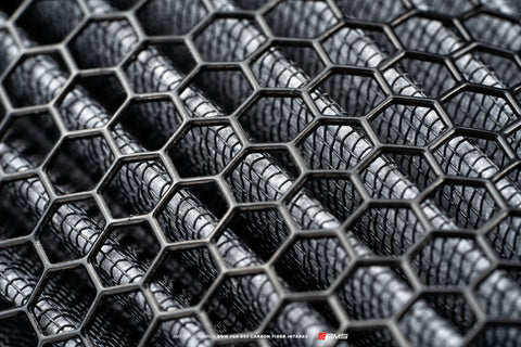 AMS Performance 15-18 BMW M3 / 15-20 BMW M4 w/ S55 3.0L Turbo Engine Carbon Fiber Intake - AMS.39.08.0001-1
