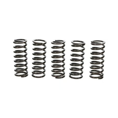Wiseco Clutch Spring Kit Honda TRX400EX/X99-14 Clutch Basket - CSK009