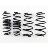 RS-R 2011-2016 Honda CR-Z (ZF1) Down Sus Springs - H303D