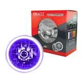 Oracle Pre-Installed Lights 7 IN. Sealed Beam - UV/Purple Halo - 6905-007