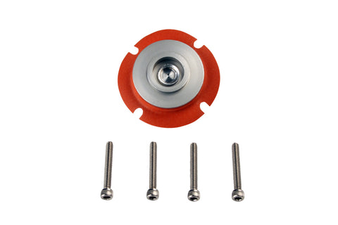 Aeromotive Regulator Repair Kit (for 13204/13207/13254) - 13008