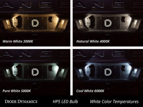 Diode Dynamics 194 LED Bulb HP5 LED - Cool - White (Pair) - DD0031P