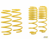 mountune Sport Spring Set 2014-2015 Fiesta ST - 2364-MSK-BA