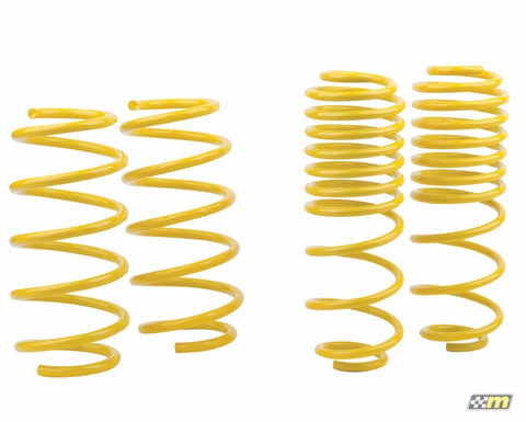 mountune Sport Spring Set 2014-2015 Fiesta ST - 2364-MSK-BA