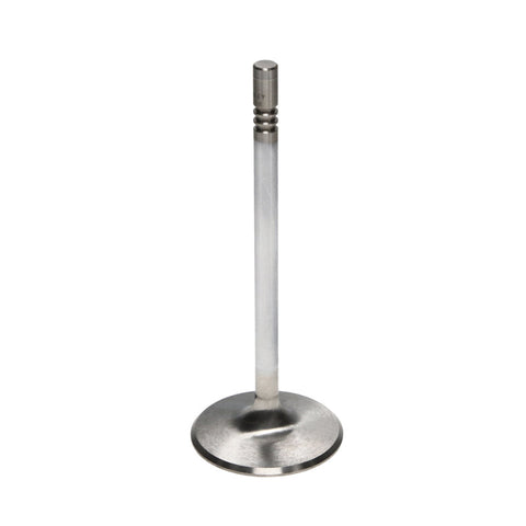 Manley 99-12 Ford V8 4.6L/281 5.4/330 45.5mm Race Series Stainless Steel Intake Valves (Set of 8) - 11640-8