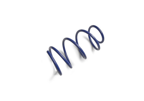Ford Racing 2012-2013 BOSS 302 Lowering Springs - M-5300-T