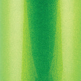 Wehrli 13-18 Cummins 6.7L Intake Kit 4in - Sparkle Granny Smith - WCF100881-SGS