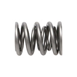 Manley Nissan (KA24DE) 16pc Valve Springs - 22160-16