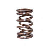 Skunk2 Pro Series Honda/Acura B-Series VTEC XP Valve Spring Set (Dual Springs) - 311-05-7350