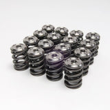 Skunk2 Alpha Series Honda/Acura H Series Valve Spring and Titanium Retainer Kit - 344-05-1360
