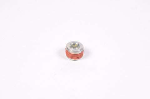 Radium Engineering 3/8in NPT Plug - 14-0173